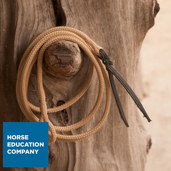 Fashion Strings for Natural Horsemanship Sticks