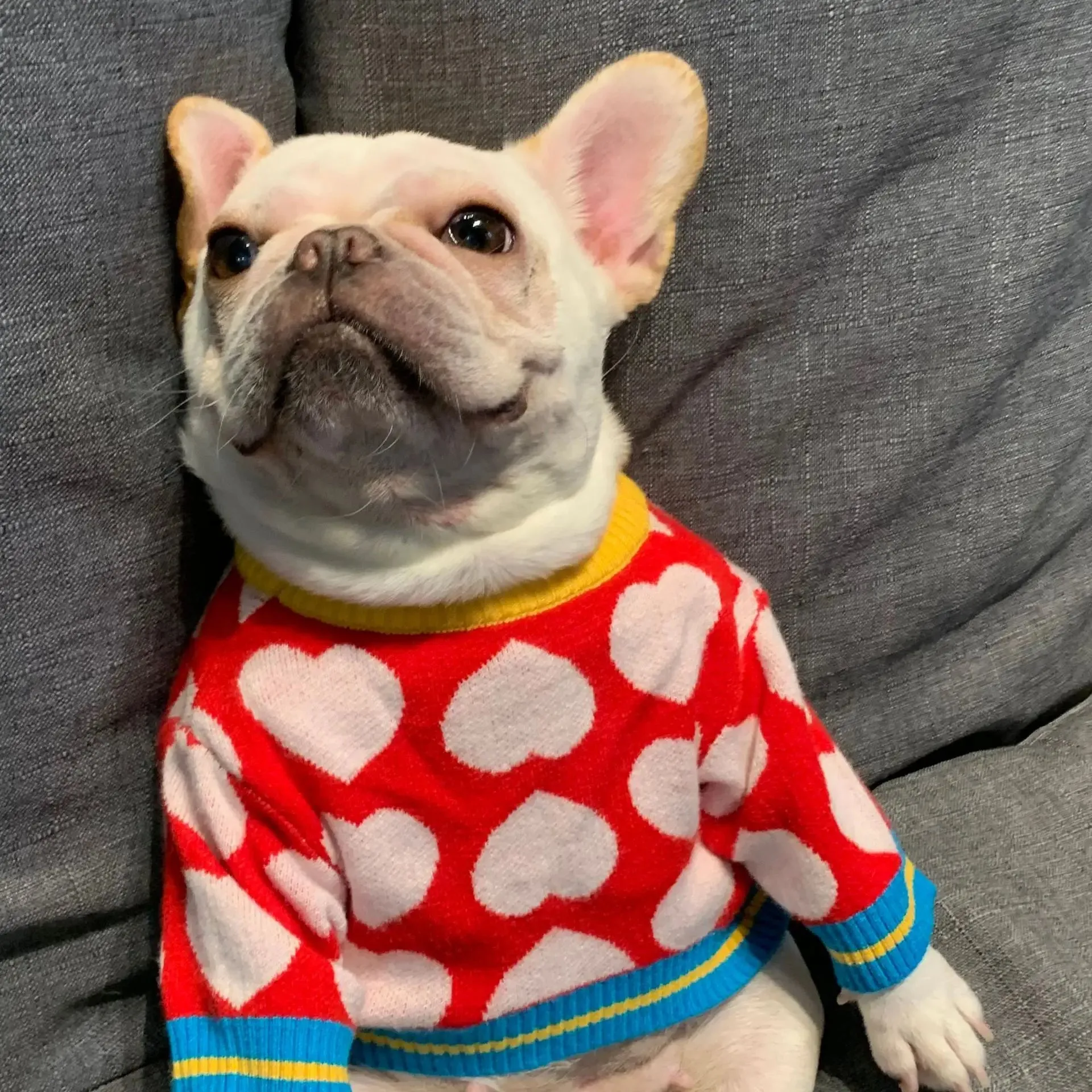 Sweet Heart Collection: Winter Warm Pet Coat - Adorable Sweater for Small to Medium Dogs, Perfect Puppy Chihuahua Clothing, and Yorkshire Outfit in Sizes S-XXL