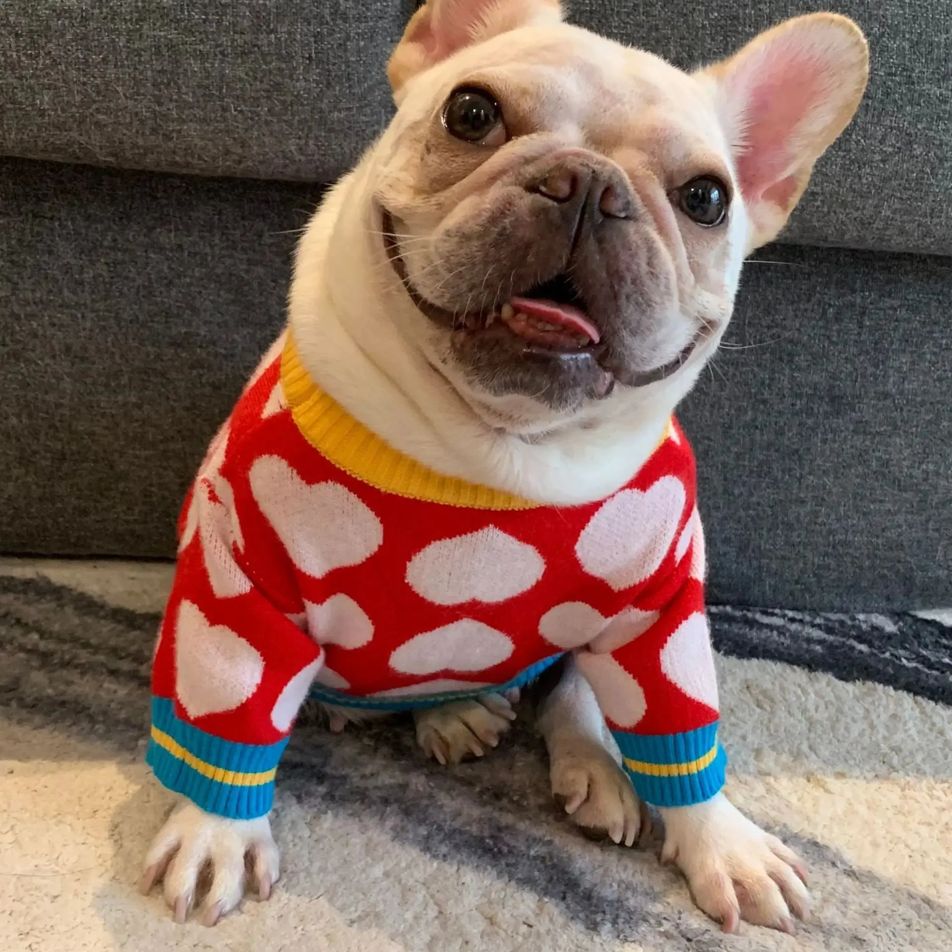 Sweet Heart Collection: Winter Warm Pet Coat - Adorable Sweater for Small to Medium Dogs, Perfect Puppy Chihuahua Clothing, and Yorkshire Outfit in Sizes S-XXL