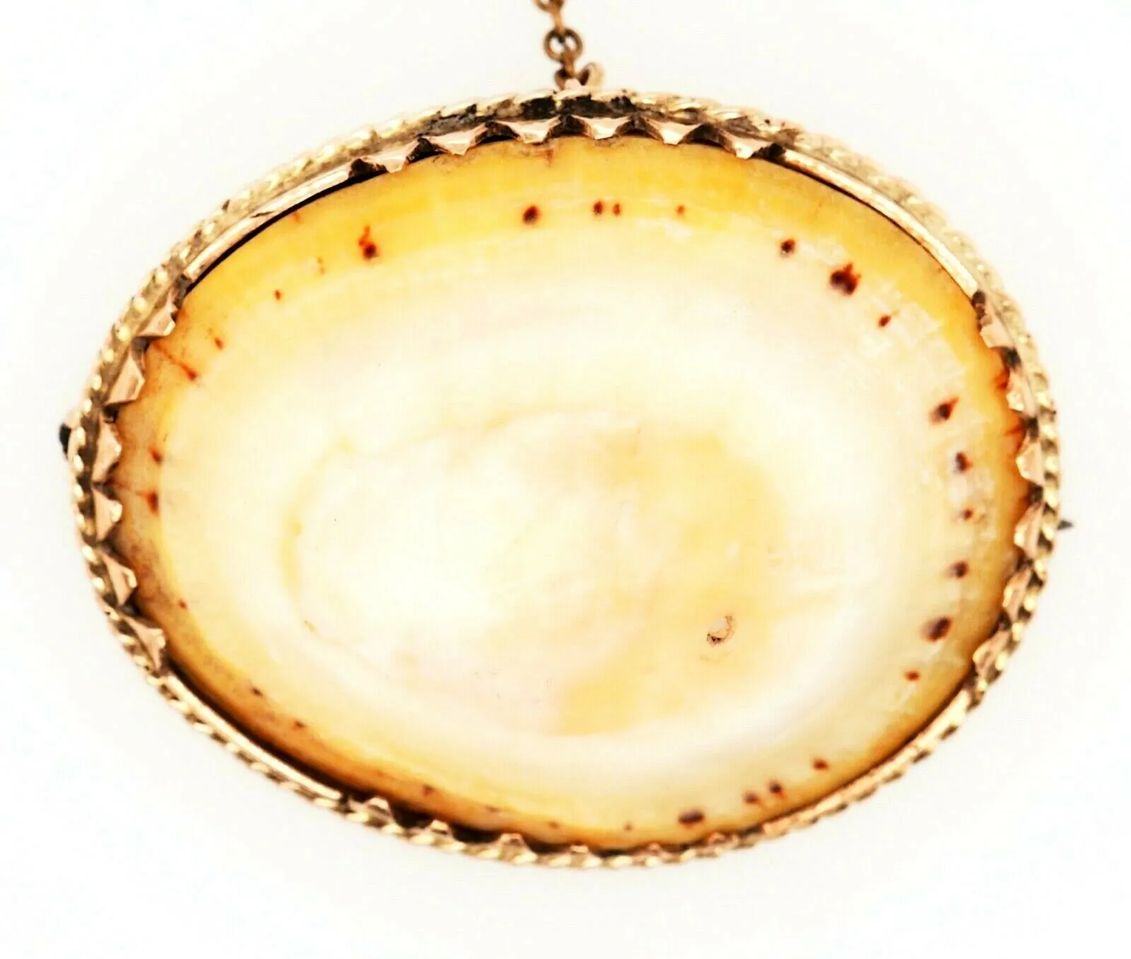 Vintage Shell & Rolled Gold Brooch Unique Fashion Statement Jewellery
